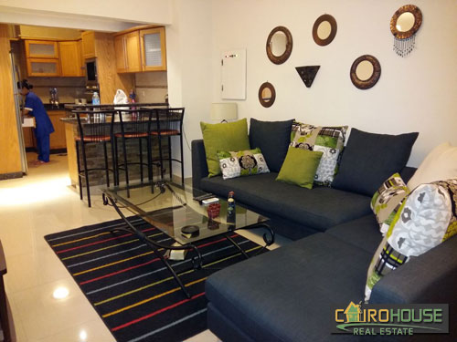 Cairo House Real Estate Egypt :Residential Ground Floor Apartment in Al Rehab City